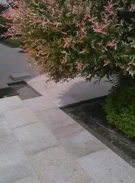 aménagement extérieur Sarzeau-1