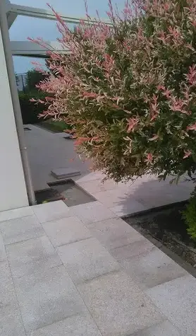 aménagement extérieur Vannes-1