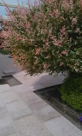 béton terrasse Sarzeau-1