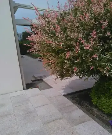 clôture jardin Vannes-5