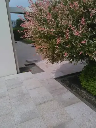 création de jardin Sarzeau-4