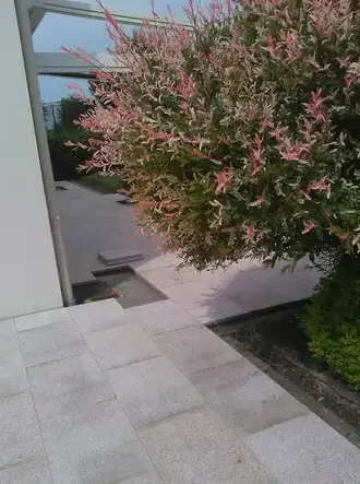 création de jardin Vannes-3