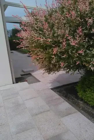 dallage extérieur Sarzeau-5