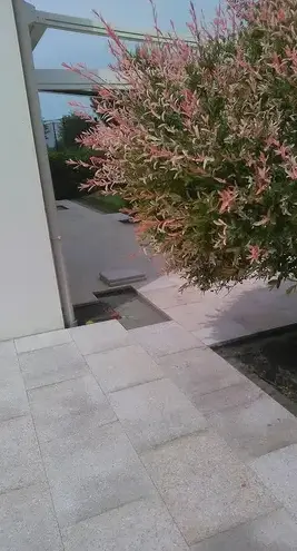 paysagiste Sarzeau-5