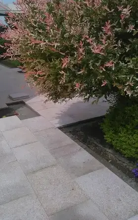 terrasse bois Vannes-1