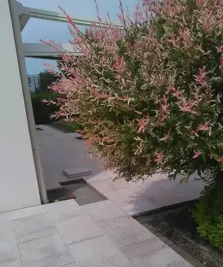 terrassement Sarzeau-2